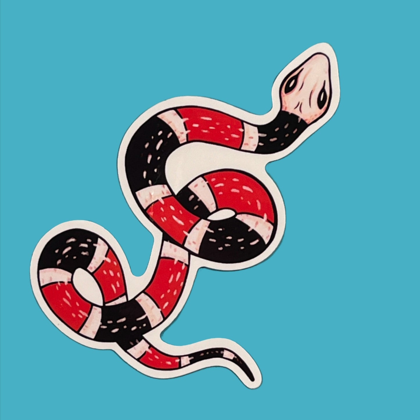 Coral Snake Sticker