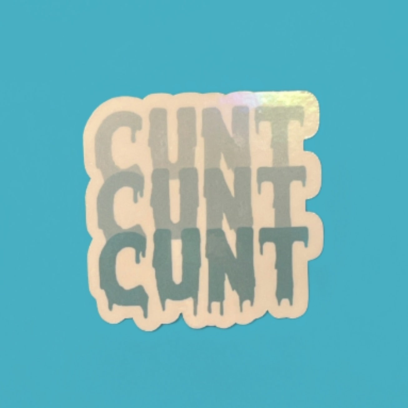 CuntCuntCunt Holographic Sticker